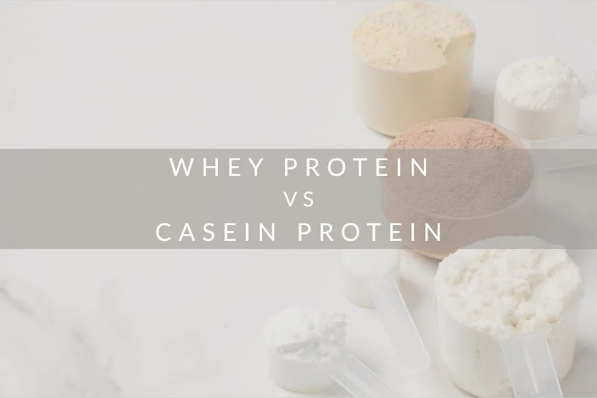 ホエイ vs カゼイン:違いを徹底解説!最適なプロテインの選び方